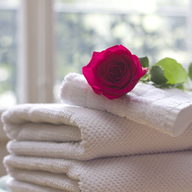 A stack of white towels with a single rose laid on top, by a window.