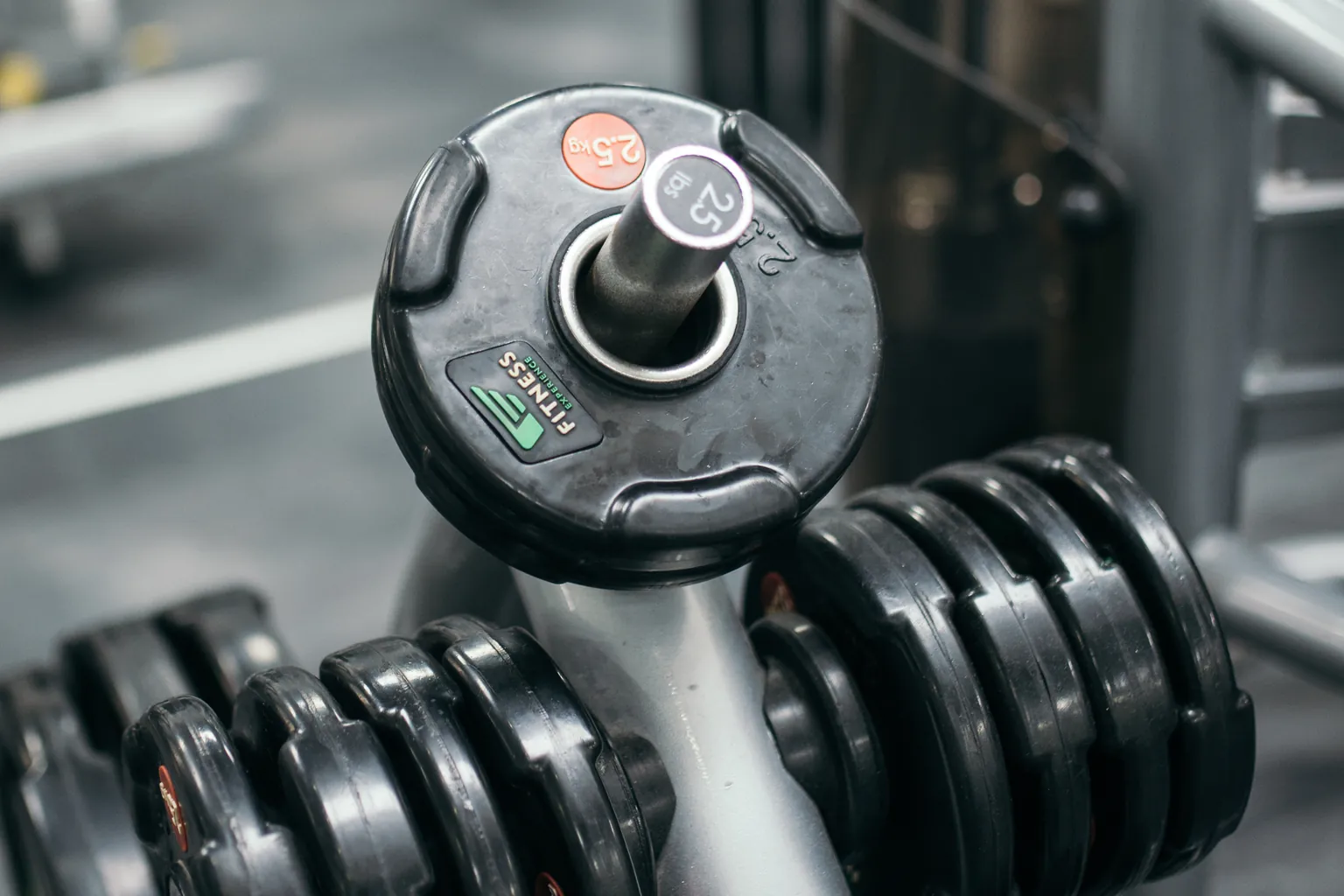 Graded dumbbells and loaded plates arranged along the assessment rack