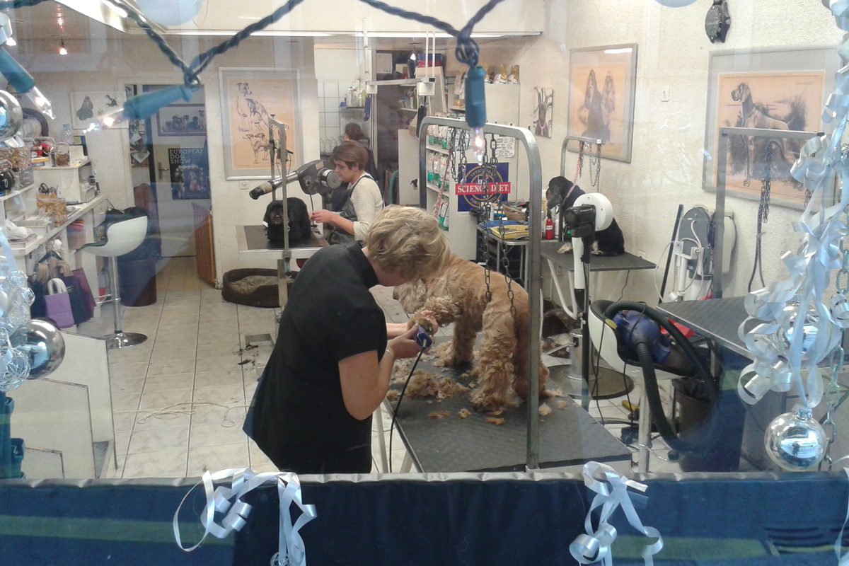 A quiet grooming room with a raised table, a rubber mat and towels folded on a shelf behind it.