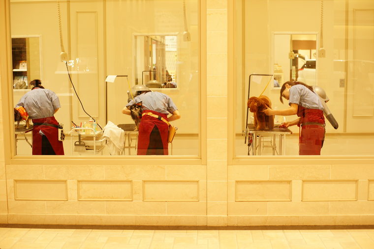 Three groomers at their tables, seen through the wide front windows of the salon.