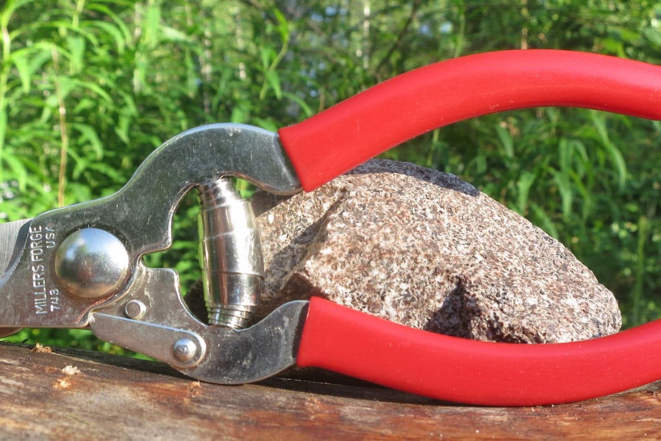 A pair of red-handled pet nail clippers on a plain white background.