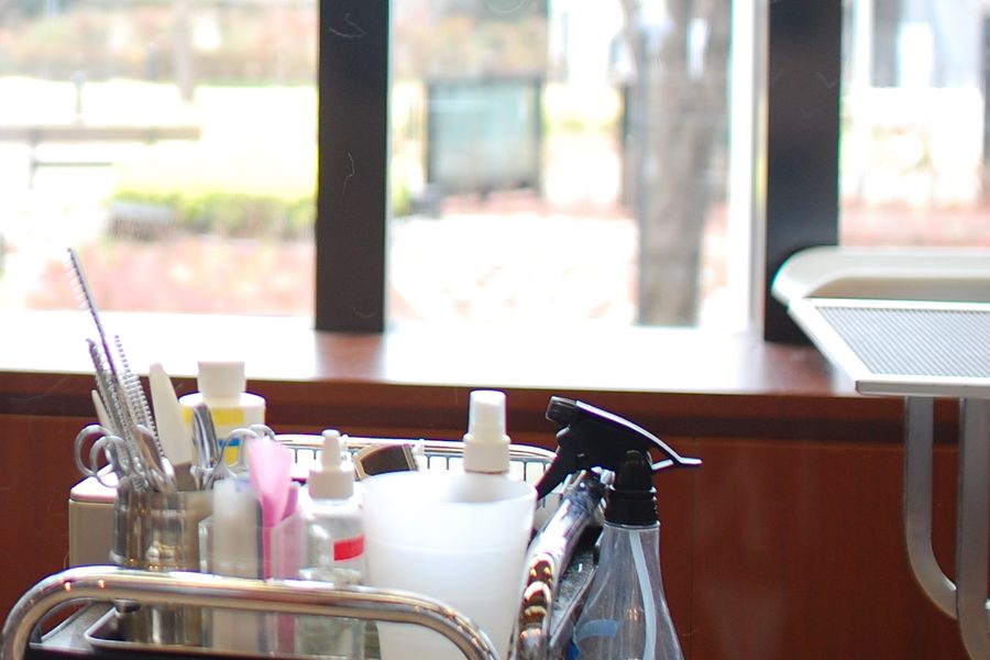 A grooming work surface with a hand dryer, brushes and towels laid out.