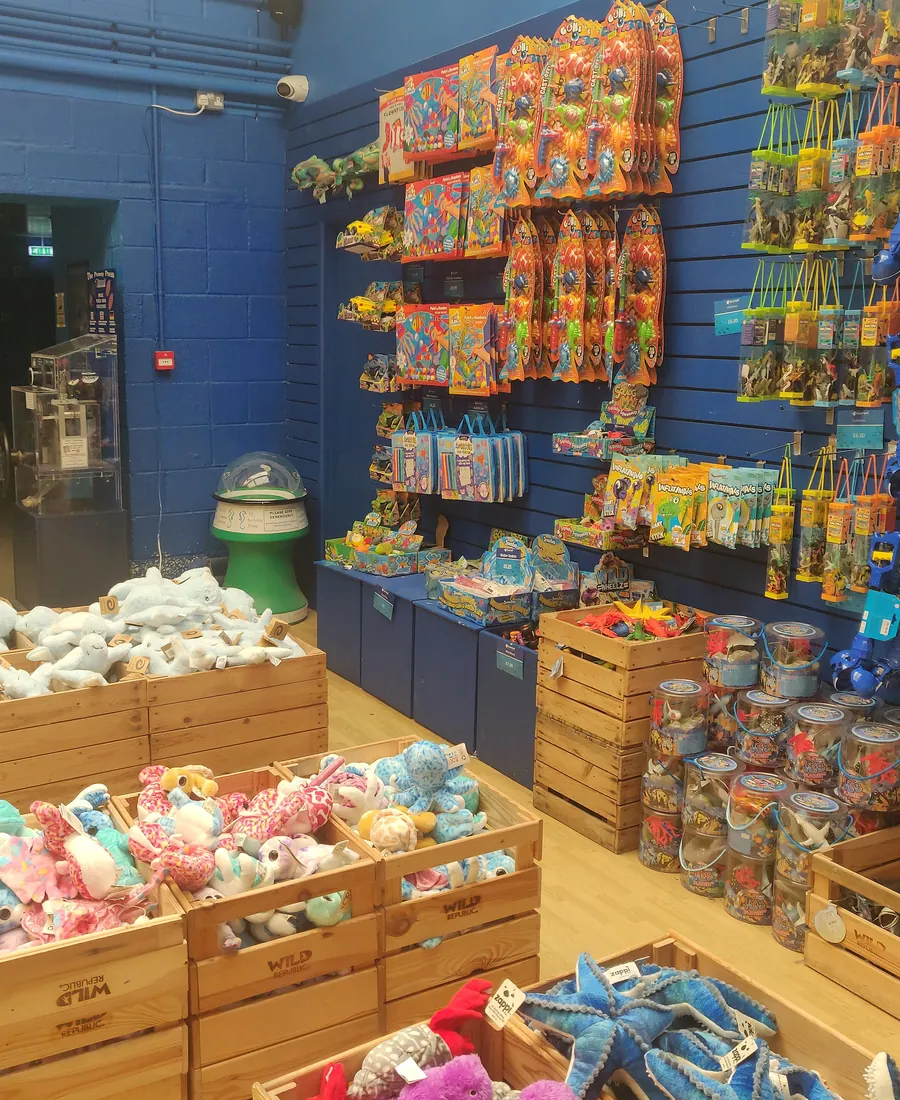 Close crop of stocked shelves and crated toys in the shop