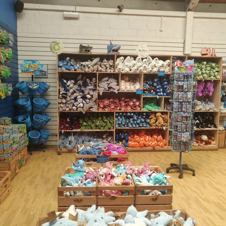 Shop shelves stocked with plush toys and everyday supplies