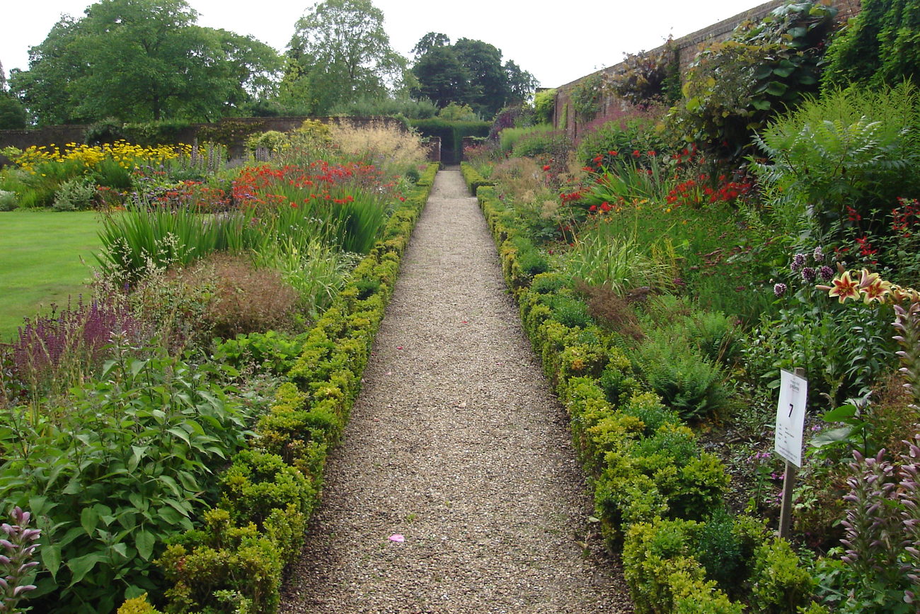 A gravel path running between two deep herbaceous borders edged with clipped box, inside a brick walled garden.