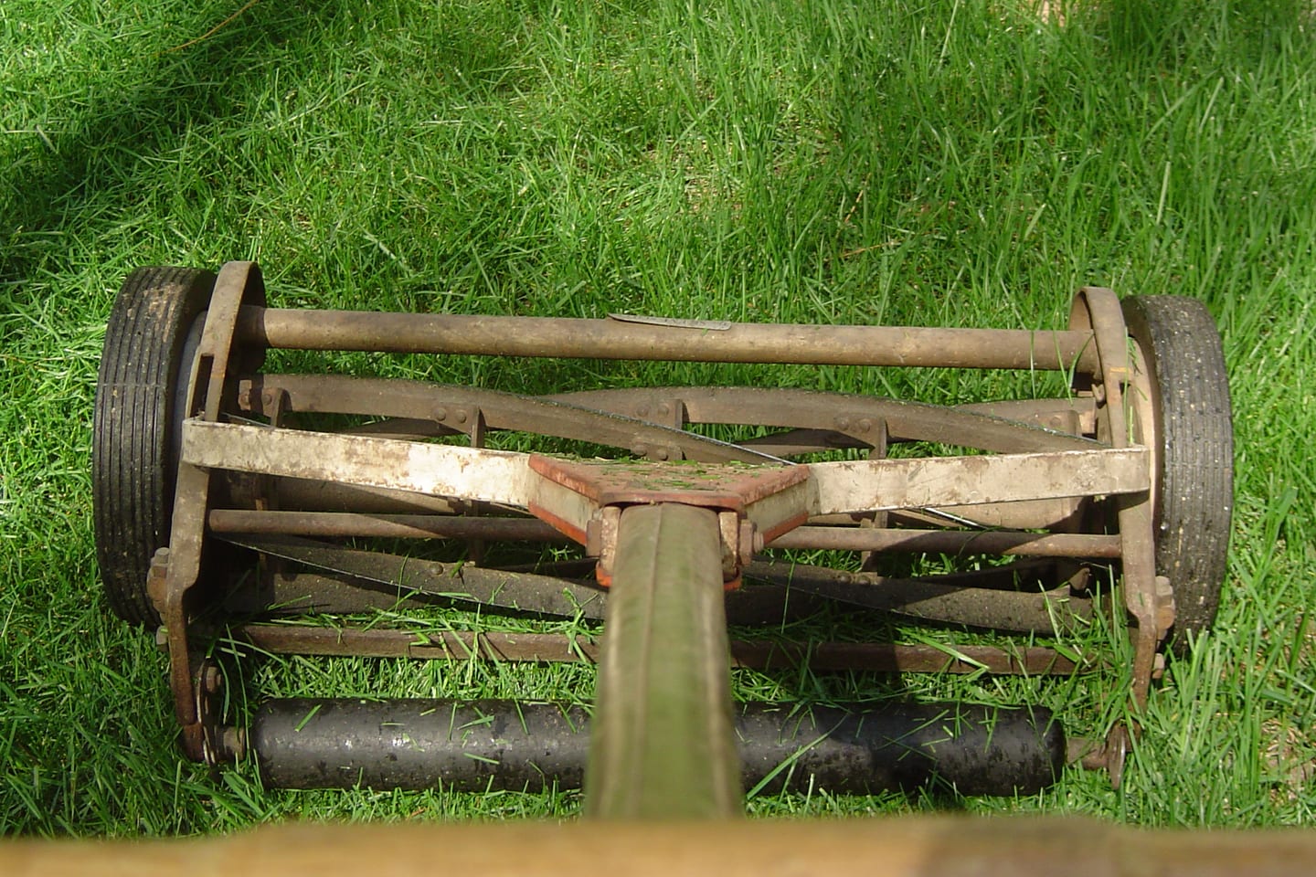 A cylinder mower standing on grass, one part of the plot cut short and the rest still long behind it.