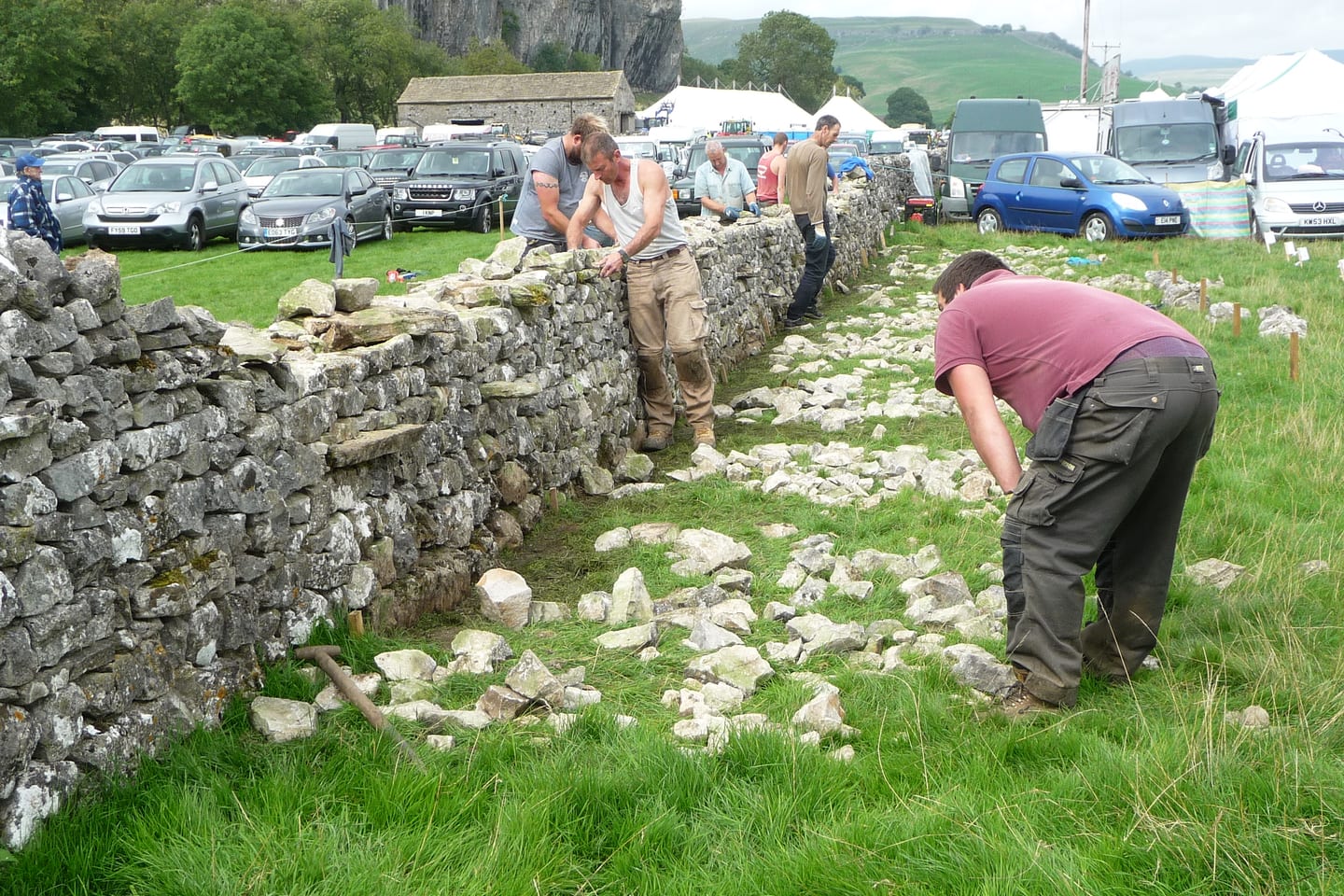 A dry stone wall part rebuilt across a field, with sorted stone laid out on the grass beside the open section.