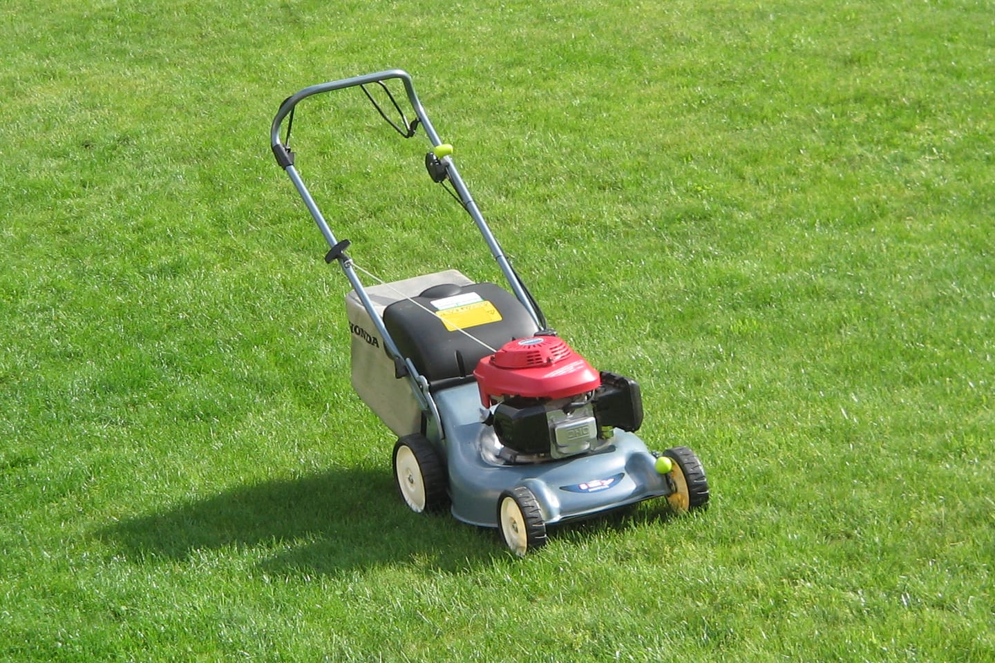 A petrol rotary mower standing on a freshly cut lawn, its grass box in place.