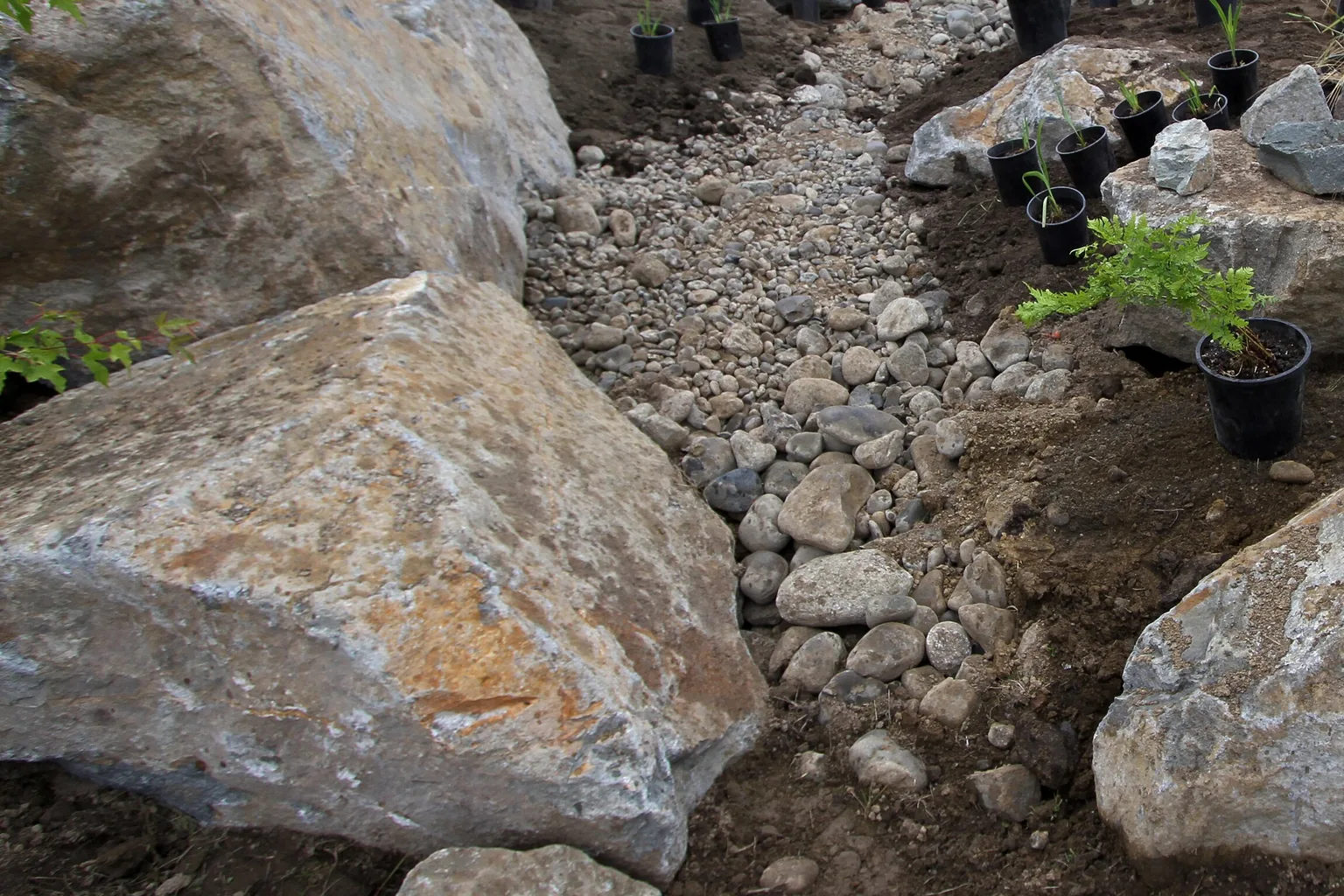 Cobble drainage channel set between boulders with new plants ready to go in