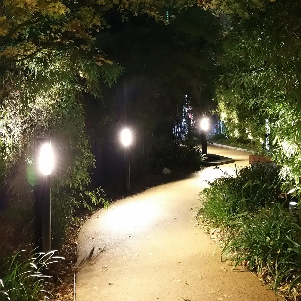 Warm pools of light are spaced along an evening walkway.