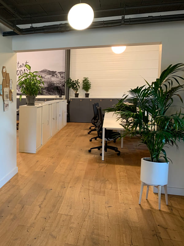 A quiet corner of an office with desks, a plant and pendant lighting