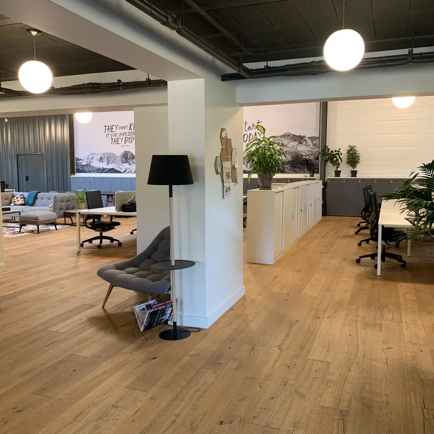 Studio entrance area framed by timber floors and planting