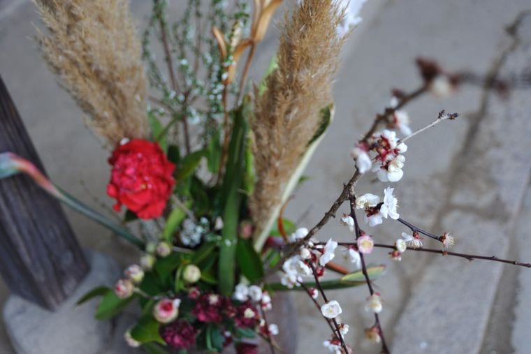 A winter arrangement of pampas grass, a red carnation and white blossom branches in a grey pot.