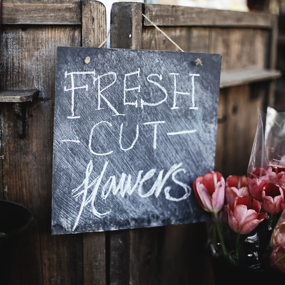 Wrapped tulips beside a chalkboard reading fresh cut flowers