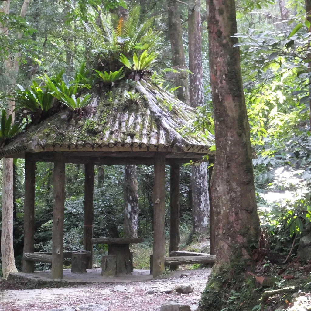A square crop of the forest shelter among the trees.