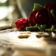 Red sugar-paste roses on a wooden surface, backlit.